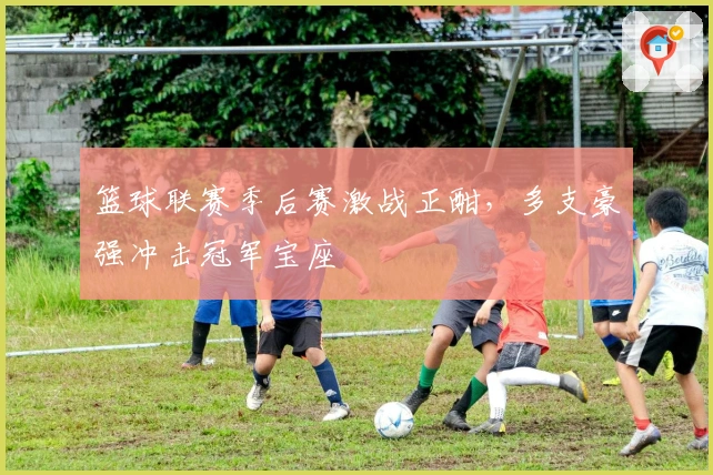 篮球联赛季后赛激战正酣，多支豪强冲击冠军宝座