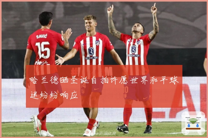 哈兰德晒圣诞自拍许愿世界和平球迷纷纷响应