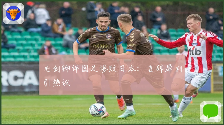 毛剑卿评国足惨败日本：言辞犀利引热议