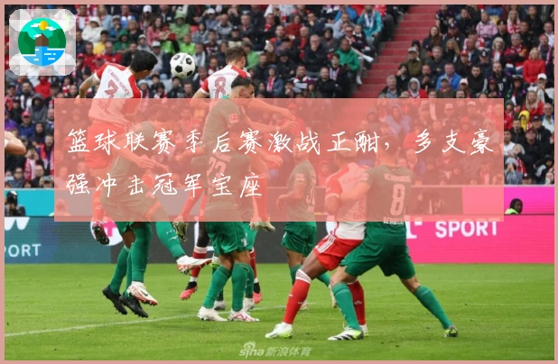 篮球联赛季后赛激战正酣,多支豪强冲击冠军宝座